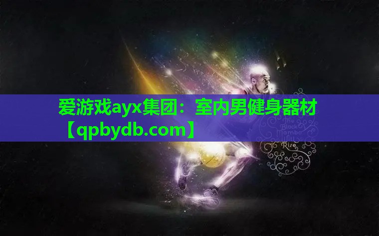 爱游戏ayx集团：室内男健身器材