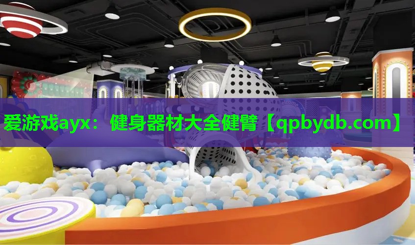 爱游戏ayx：健身器材大全健臂