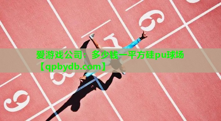 爱游戏公司：多少钱一平方硅pu球场