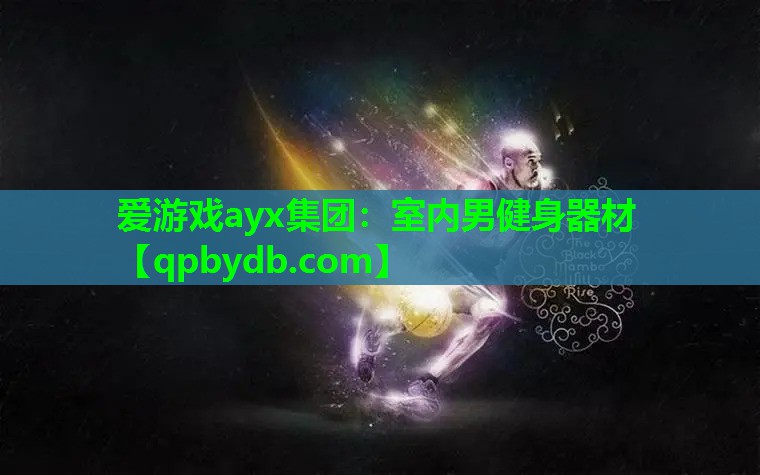 室内男健身器材 室内男健身器材
