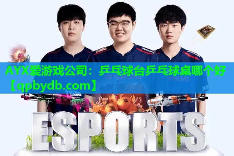 乒乓球台乒乓球桌哪个好 乒乓球台乒乓球桌哪个好