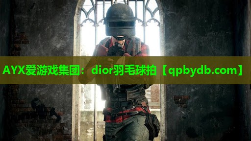 dior羽毛球拍