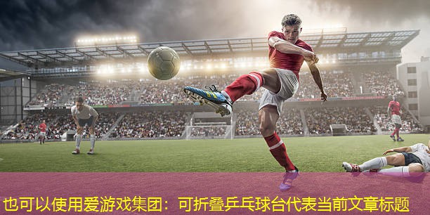可折叠乒乓球台 可折叠乒乓球台