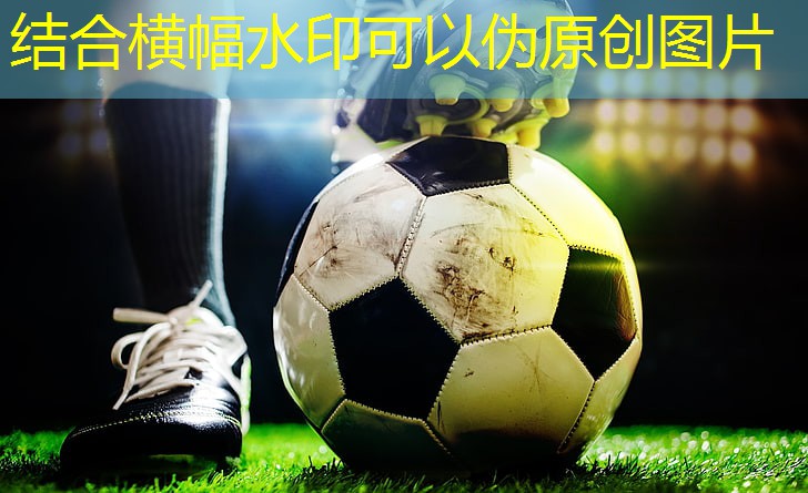 家用小型跑步机哪种好 家用小型跑步机哪种好